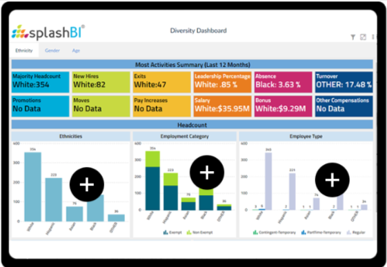 6 Essential HR Metrics Dashboards You Need in 2025 2 HR Metrics Dashboard - Diversity Summary